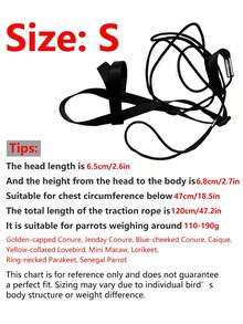 1set Parrot Harness Leash Strap For Flying, Suitable For Outdoor Bird Walking - Black - View 16
