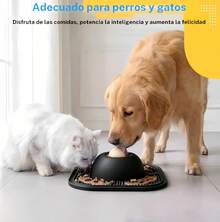Pet Feeders - Default - View 2