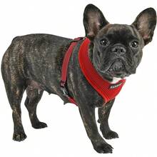 Authentic Puppia Soft Dog Harness, Red - Medium - Baby Pink - View 4