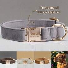 Customized Dog ID Collar + Leash Set, Personalized Dog Tag Pendant Accessories For Small And Medium Dogs, Great Gift Decoration For Your Pets, Engraved Stainless Steel, Fashionable, Colorful, Vintage, Cute, Minimalist, Customized, Unique, Personalized Pet, Anniversary, Birthday - Multicolor - View 32