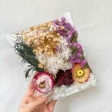 1/2 入樹脂乾燥花，適用於DIY手工藝、浪漫家居裝飾、創意生日禮物、婚禮派對、情人節 - 彩色 - 查看 23