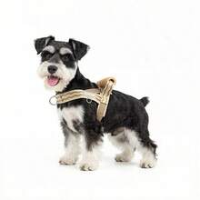 Arnés + Correa para Mascotas, con Mango Acolchado Antideslizante, Diseño Cómodo y Transpirable, Construcción a Prueba de Golpes, Esquema de Colores Contrastantes, Adecuado para Perros Pequeños y Medianos, Accesorio Esencial para Pasear Mascotas. - Caqui - Ver 1