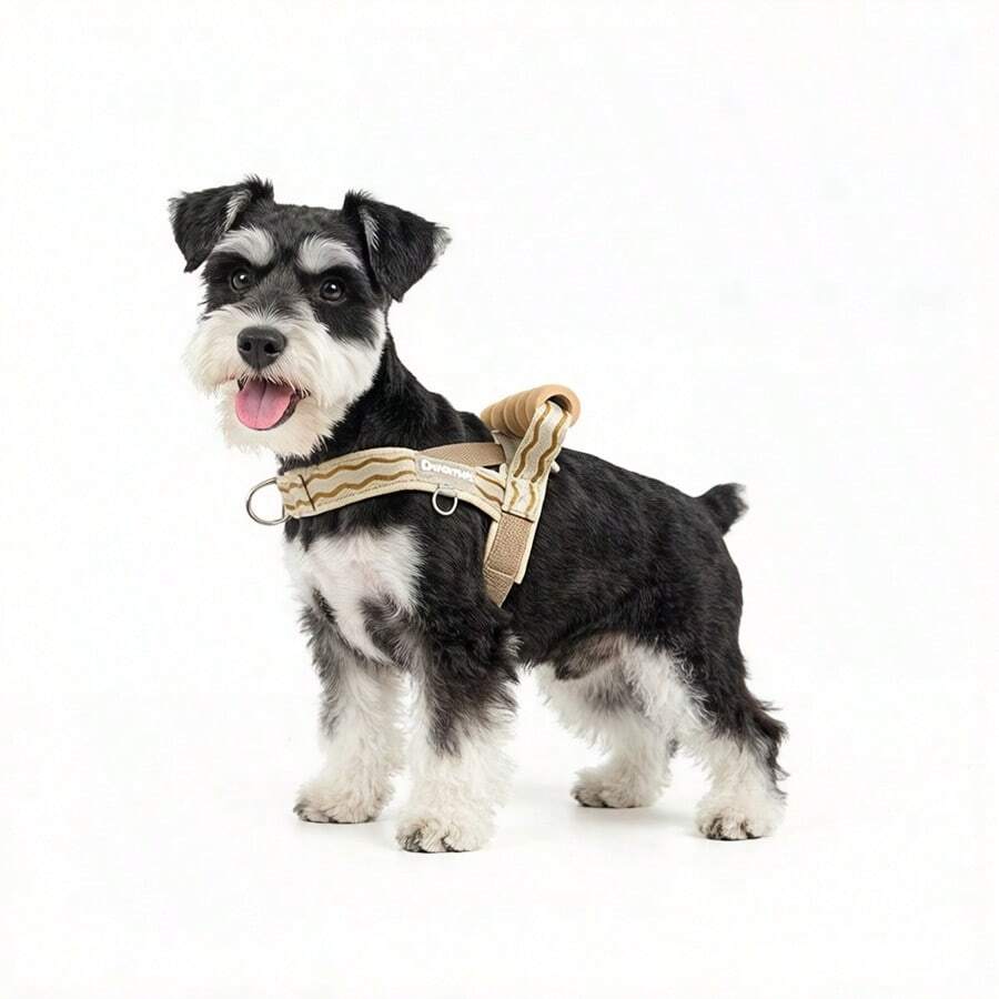Arnés + Correa para Mascotas, con Mango Acolchado Antideslizante, Diseño Cómodo y Transpirable, Construcción a Prueba de Golpes, Esquema de Colores Contrastantes, Adecuado para Perros Pequeños y Medianos, Accesorio Esencial para Pasear Mascotas. - Caqui - Ver 1