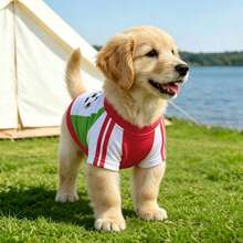 YOKLUN 1pc Pet T-Shirt, Sports Style, Suitable For Spring/Summer/Autumn Pet Clothing, Cute And Lively, Suitable For Cats And Dogs, Can Be Given As A Holiday Gift - Red - View 15