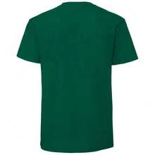 Fruit Of The Loom Mens Ringspun Premium T-Shirt - College Green - View 2