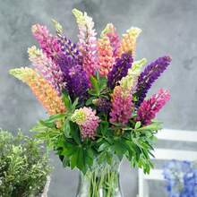376 piezas de semillas de plantas en maceta con descuento, cápsulas de semillas mixtas de flores de frijol mungo y flores silvestres, cada bolsa de semillas de flores de frijol mungo de colores variados. - 376 - Ver 4