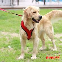 Arnés para Perro Puppia Soft Auténtico, Rojo - Mediano - Gris - Ver 9