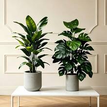 2pcs Nordic Home Style Extra Large Artificial Bonsai Plants, Wealthy Banana + Lucky Turtle Leaf, Outdoor/Indoor Decoration, Suitable For New Year, Easter, Housewarming, Father's Day, Graduation Season, Independence Day, Halloween, Anniversary Decoration | No Watering Required, All Season Display, Foliage, Sturdy Structure, Holiday Decoration, Party Organizer, Event Planner - Multicolor - View 10