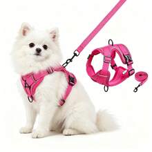 2pcs Dog & Cat Harness With Leash, Adjustable Reflective Breathable Mesh Chest Harness For Outdoor Walking, Suitable For Large Cats And Small Dogs - Multicolor - View 2
