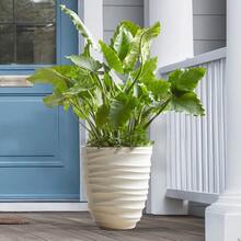 Round White Plastic Planter|16"*16"*18", Durable Lightweight Plant Container For Indoor & Outdoor Greenery Arrangements - 預設 - 查看 2