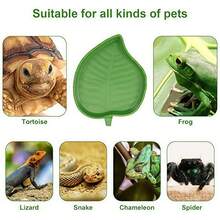 2pcs/Set Leaf-Shaped Reptile Feeding Dish, Turtle Lizard Water Feeder, Plastic Easy-To-Clean Food Bowl & Water Bowl, Reptile Supplies - Feeding Bowl - View 8