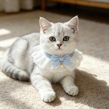 1pc Cute Cat Bow Collar, Detachable, Floral Pattern, Elegant Design, With Bell, Suitable For Indoor Cats, Kittens, Small Dogs, Puppies And Other Small Pets, Cat Accessories - Multicolor - View 8