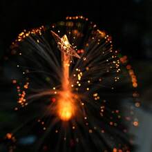 Solar Powered 7 Color Changing Fiber Optic Jellyfish Stake Lights, Waterproof Star Top LED Xmas Tree Pathway Lamp For Outdoor Yard, Lawn, Garden Holiday Decorations - Fiber Optic Jellyfish Ground Insertion - View 7