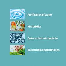 Media Filter Akuarium, Kotak Pemurnian Air Akuarium, Kotak Filter Tangki Ikan, Bahan Filter Akuarium, Filtrasi Cincin Keramik, Meningkatkan Kualitas Air, Cocok Untuk Filtrasi Tangki Ikan dan Tangki Kura-kura - View 7