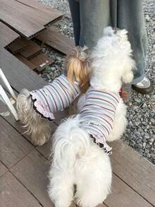 1 Stück Sommer-Welpenkleidung süßes Cartoon gestreiftes Kleid Weste Malteser Yorkshire Terrier Bichon Haustierbekleidung, Kätzchen gestreiftes Sommer-Haustierkleid Hundekleidung gestreift Teddy Bichon Yorkshire Terrier Anti-Haarverlust Haustierkleid - Verschiedenfarbig - Übersicht 8