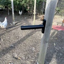 1 pieza Percha horizontal montada en la pared para pollos, barra de descanso resistente para aves de corral, estante colgante de descanso para aves de corral en el patio trasero, soporte duradero para dormir de pollos, accesorio de cría diaria de aves de corral de granja, tornillos no incluidos, barra de pie para animales - Multicolor - Ver 3