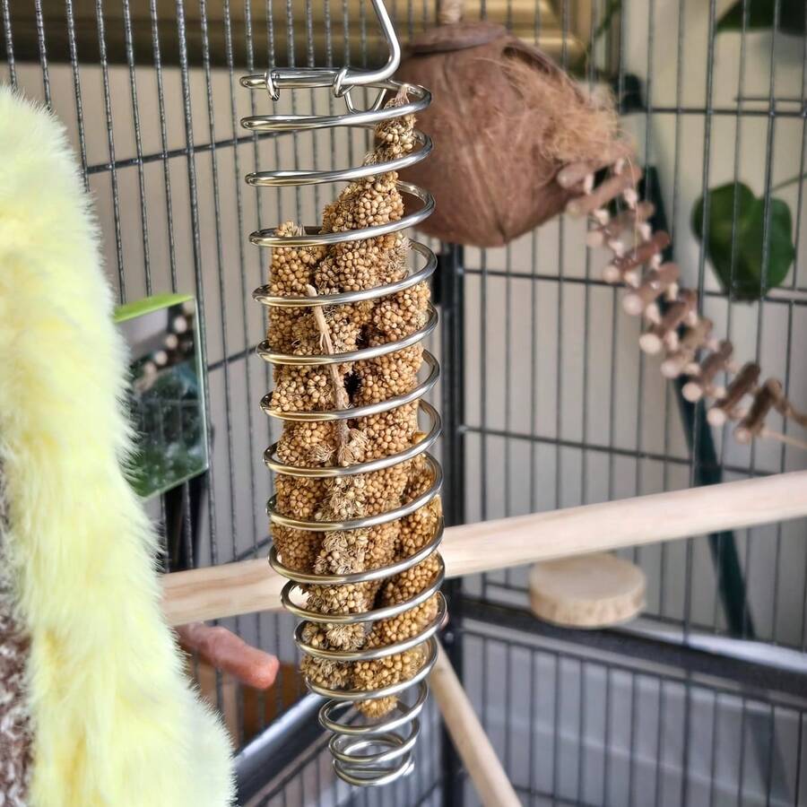 Solid Formed Spiral Coil Metal Bird Feeder, Top Hook Design Fruit Veg Holder For Budgie Cockatiel Small Medium Parrot Cage Daily Foraging Feeding - one-size - View 1