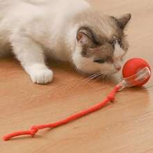 Cat Toy Ball with Tail Rope, Smart Rolling Ball, LED Light, Electric Self-Rolling Pet Toy, Interactive Cat Jumping Ball, Automatic Cat Teaser Ball, Small Dog Toy, Pet Excercise, Cat Activity - Rojo - Ver 1