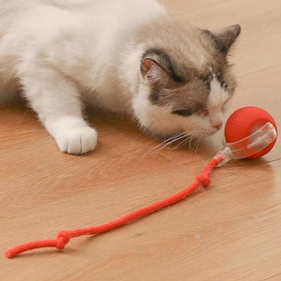Cat Toy Ball with Tail Rope, Smart Rolling Ball, LED Light, Electric Self-Rolling Pet Toy, Interactive Cat Jumping Ball, Automatic Cat Teaser Ball, Small Dog Toy, Pet Excercise, Cat Activity - Rojo - Ver 1