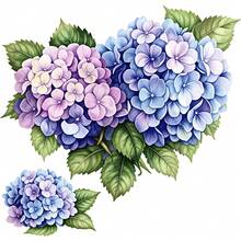1/2/3 PIEZAS Vinilo Transferible por Calor Duradero y Lavable, Patrón Floral Pintado a Mano de Acuarela con Hortensias Degradadas en Azul y Púrpura con Hojas Verdes, Pegatina Transferible por Calor, Pegatina Transferible por Plancha - Adecuado para Almohadas, DIY, Mochilas, Camisetas, Bolsas de Lona, Sudaderas, Vaqueros, Ropa, Suministros de Costura - Multicolor - Ver 2