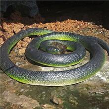 1 pieza Juguete de serpiente verde de goma suave, modelo de serpiente realista, accesorio de broma aterrador, juguete para aliviar el estrés, regalo de cumpleaños para adolescentes, regalo de vacaciones, juguete de regalo - Multicolor - Ver 5