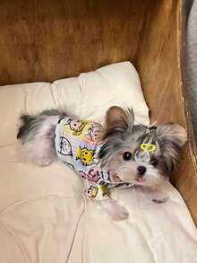 Pet Cartoon Colorful Pattern INS Style Home Wear Pet Pajamas Japanese Style Cute Casual Breathable - Baby Blue - View 5