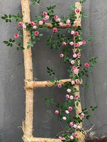 1pc 1.8m/5.9ft Long Artificial Rose Vine, Augsburg Tea Bag Flower Vine. Suitable For Home Decor, Wedding Party Decor, Garden And Yard Fence Decor - Multicolor - View 6