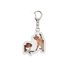 1 pieza/4 piezas Llavero de mascota con colgante de acrílico con foto de gato, accesorio para mochila escolar - Multicolor - Ver 11