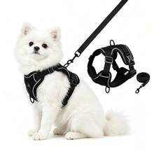 2pcs Dog & Cat Harness With Leash, Adjustable Reflective Breathable Mesh Chest Harness For Outdoor Walking, Suitable For Large Cats And Small Dogs - Multicolor - View 1