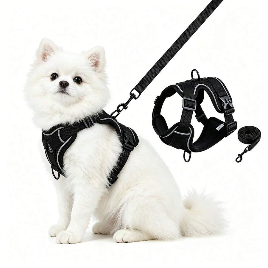 2pcs Dog & Cat Harness With Leash, Adjustable Reflective Breathable Mesh Chest Harness For Outdoor Walking, Suitable For Large Cats And Small Dogs - Multicolor - View 1