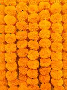 Garlands - Orange Color - View 2