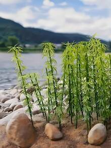 20個/10個/5個/1個 迷你竹樹模型裝飾品，人造綠色塑膠竹樹景觀裝飾，適用於DIY仙女花園、火車場景、微縮景觀手工藝、玻璃容器、盆栽植物裝飾、生日禮物 - 竹子 - 查看 3