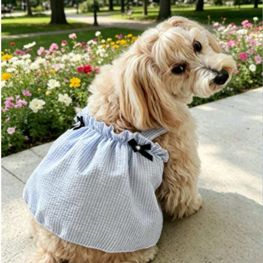 热门宠物服装,轻便透气,适合贵宾犬、泰迪犬等小型犬,居家穿着。 - 彩色 - 查看 1