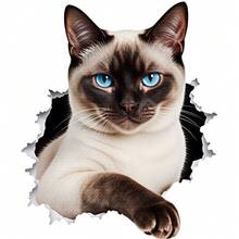 1/2/3 Stücke langanhaltend, waschbares Wärmetransfer-Vinyl, zerrissenes Papier-Effekt blaue Augen Siamkatze süßes Haustier-Muster dunkel- & hellbraune Farbe, Wärmetransfer-Aufkleber, Bügel-Transfer-Aufkleber-Dekor geeignet für Kissen, DIY, Rucksäcke, T-Shirts, Leinwandtaschen, Sweatshirts, Jeans, Kleidung, Nähbedarf - Mehrfarbig - Übersicht 2