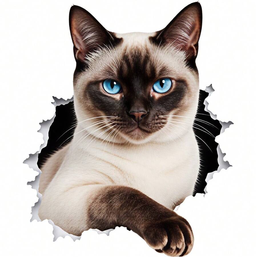 1/2/3 Stücke langanhaltend, waschbares Wärmetransfer-Vinyl, zerrissenes Papier-Effekt blaue Augen Siamkatze süßes Haustier-Muster dunkel- & hellbraune Farbe, Wärmetransfer-Aufkleber, Bügel-Transfer-Aufkleber-Dekor geeignet für Kissen, DIY, Rucksäcke, T-Shirts, Leinwandtaschen, Sweatshirts, Jeans, Kleidung, Nähbedarf