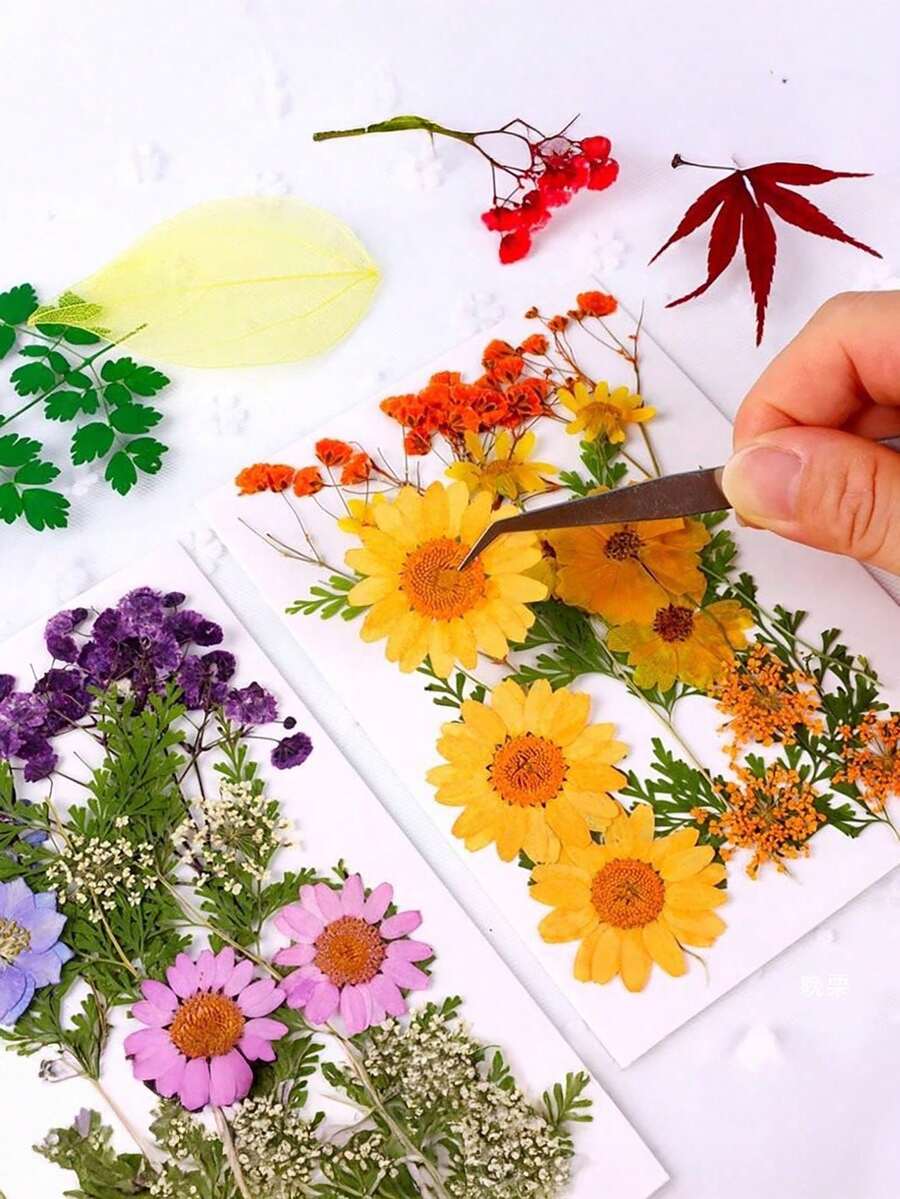 DIY 壓花套裝-幼兒教育輔助與手工套件,內含隨機玫瑰貼紙及製作四季花瓣標本與書籤的材料,適合男孩女孩的趣味可愛創意禮物 - 彩色 - 查看 1