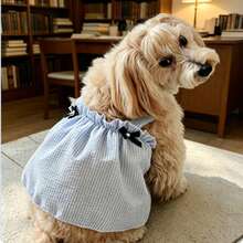 热门宠物服装，轻便透气，适合贵宾犬、泰迪犬等小型犬，居家穿着。 - 彩色 - 查看 5