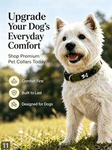 Collar para perro acolchado y cómodo, collar ajustable para mascotas con doble anilla en D, sin rozaduras ni arañazos, adecuado para perros pequeños, medianos y grandes, disponible en múltiples colores - Multicolor - Ver 1