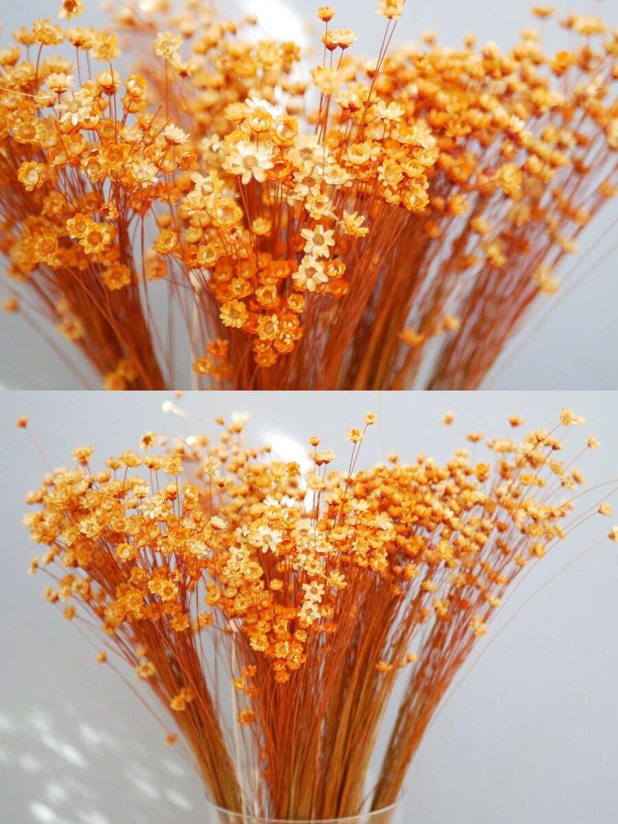 30/60/100/200朵人造巴西星花,迷你雛菊洋甘菊花束,適用於婚禮花藝裝飾、家居裝飾、情人節禮物 - 橘色 - 查看 1