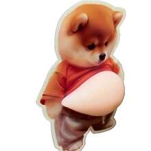 1pc Unique Soft Corgi Dog Squishable Sticker, Novelty Sticker Suitable For Home Decor, Collection, Car And Party, Ideal Birthday And Holiday Gift - Multicolor - View 11