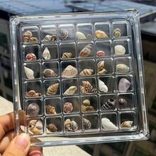 彩色迷你貝殼 - 多種圖案與顏色，適用於DIY手工藝、拼貼藝術、漂流瓶裝飾、水族箱裝飾等。亦可用作剪貼簿和瓶子裝飾，以及復活節、母親節和情人節的禮物。 - 50克 - 查看 5