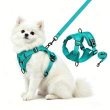 2pcs Dog & Cat Harness With Leash, Adjustable Reflective Breathable Mesh Chest Harness For Outdoor Walking, Suitable For Large Cats And Small Dogs - Multicolor - View 7