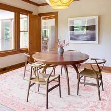 Area Rug 5X7 Rugs For Living Room-Vintage Soft Pink Rugs For Bedroom-Non Slip Carpet-Machine Washable Rug For Dining Room Living Room Bedroom Office Under Table - 多色DT4 - 查看 3