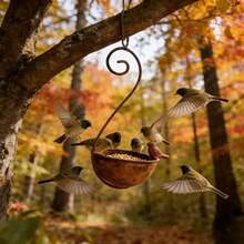 Vintage Distressed Iron Hanging Bird Feeder, Outdoor Garden Yard Bird Water Bowl Bird Bath, Hanging Bird Feeder, Vintage Iron Bird Water Bowl, Attract Wild Birds Yard Decor - A - View 8