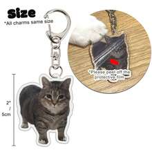 1 pieza/4 piezas Llavero de mascota con colgante de acrílico con foto de gato, accesorio para mochila escolar - Multicolor - Ver 3
