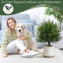 3 Packs Large Artificial Cedar Trees With Stakes - UV Protected Fake Juniper/Pine Shrubs For Outdoor And Indoor Porch Garden Decor, Perfect For Various Holiday Decorations Like Halloween, Christmas, Thanksgiving, Outdoor Ornaments - Multicolor - View 4