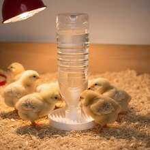 防溺水小雞飲水器;小雞與小鴨自動飲水器;適用於礦泉水瓶(直徑約 2.4cm/0.94in);家禽育雛必備護理用品 - 3D列印餵食器 - 查看 5