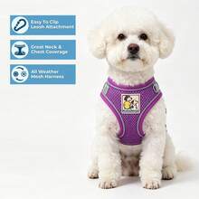 Breathable Mesh Dog Harness & Leash Set, Reflective Edge Step-In Puppy Vest With Soft Handle Leash, Adjustable Escape-Proof Harness, Suitable For Small And Medium Dogs And Cats, Lightweight Nighttime Daily Gear - Purple - View 4