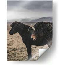 Other Equestrian Supplies - Nordic Horses - Poster + 40 X 30 cm - View 2