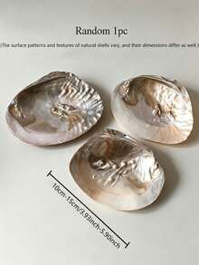 6pcs/Set Pearl Oyster Shell Jewelry Tray, Iridescent Shell Trinket Dish For Rings, Earrings, Necklaces, Home Decor Vanity Organizer - Multicolor - View 4